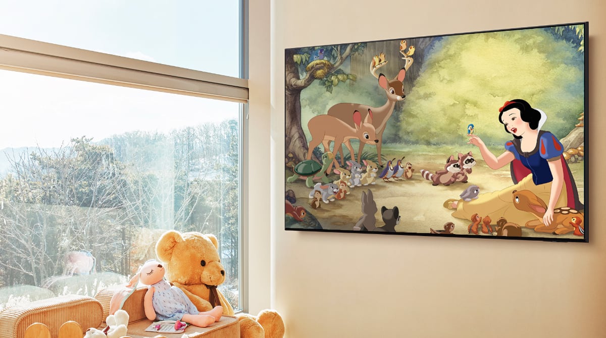 The Frame Disney